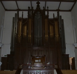 organ